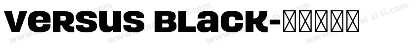 Versus Black字体转换
